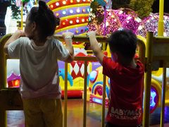 -锦江乐园舞狸花花游园会(夜场专享)