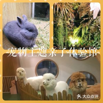 假日带娃新去处—宠物主题亲子体验馆