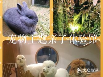 假日带娃新去处—宠物主题亲子体验馆