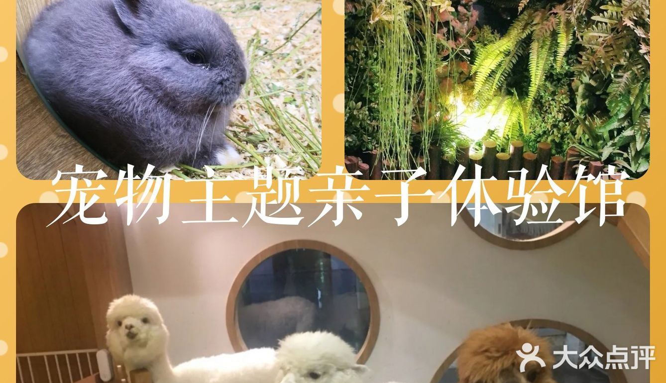 假日带娃新去处—宠物主题亲子体验馆