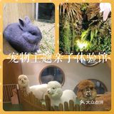 假日带娃新去处—宠物主题亲子体验馆