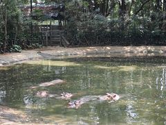 -广州长隆飞鸟乐园