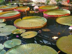 -国家植物园南园