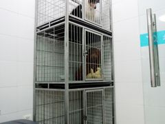寄养-中农大我爱我爱24h动物医院·中医针灸·猫专科·骨科医疗中心(双井店)
