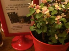 iphone_upload_pic-绝城芋儿鸡(犀浦旗舰店)