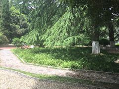 -中南财经政法大学(首义校区)