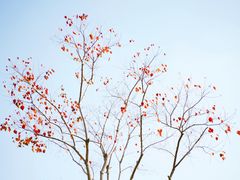 -上海山野camping·户外天幕烧烤·团建拓展营地