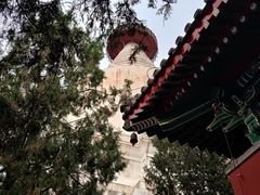 -妙应寺白塔
