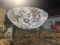 -辽宁古生物博物馆