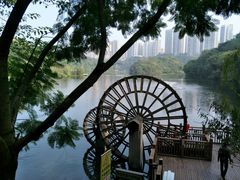 -重庆彩云湖湿地公园