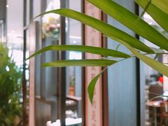 -南国会酒家(岗顶1站广场店)