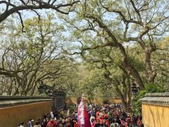 -普陀山风景名胜区-法雨禅寺