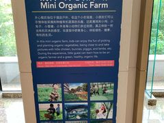 -上海佘山世茂艾美酒店