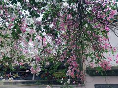 -深圳国际园林花卉博览园