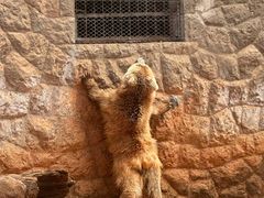 -昆明动物园