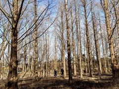 -国家植物园南园