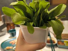 -椰子湾·海南火锅·糟粕醋·椰子鸡(正大广场店)