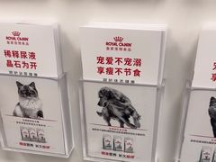 -美联众合爱康动物医院•复杂内科•肿瘤科•牙科•腔镜诊疗中心