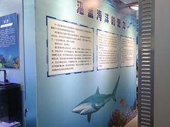 -松江科技馆