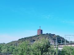 -永定河休闲森林公园