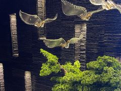 -上足·影院足道·SPA(红岭店)