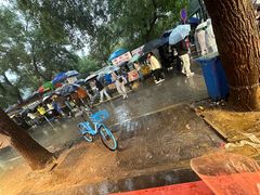 -马文章胖子甑糕(洒金桥店)