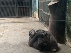 -石家庄市动物园