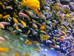 -成都浩海立方海洋公园