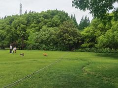 -上海滨江森林公园