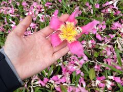 -深圳博物馆(古代艺术馆)