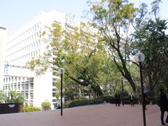 -香港大学