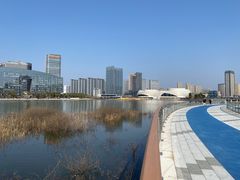 -金沙湖公园