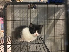 -SAH健身私教工作室(紫东店)