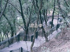 -龙泉洞(沙坪坝区)