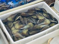 -湛江渔港·大排档(乐园路总店)