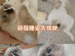 -龙湖重庆时代天街