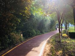 -西安汉城湖景区