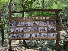 -井塘古村