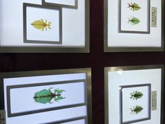 -上海昆虫博物馆