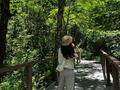 -叠溪松坪沟景区