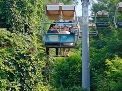 -富斯特索道