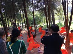 -嵩山少林文化旅游景区