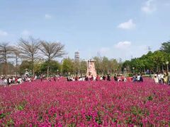 -顺峰山公园