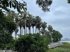 -江心屿景区