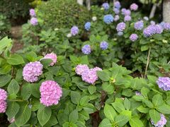 -常州古运河南大街文化旅游区-人民公园