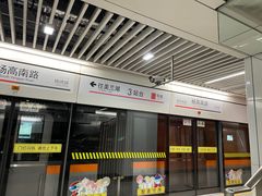 -杨高南路(地铁站)