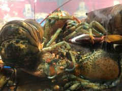 -盒马鲜生(顺义店)