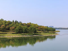 -北龙湖湿地公园