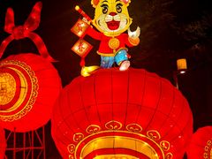 -长春市南湖公园