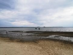 -北海金海湾红树林生态旅游区